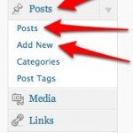 Add New Posts