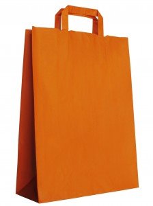 Shopping Bag Shopping Bag