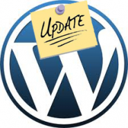 Updating Your WordPress Plugins and Themes