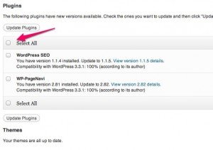 WordPress Updates Step 1 WordPress Updates Step 1