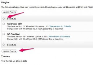WordPress Updates Step 2 WordPress Updates Step 2